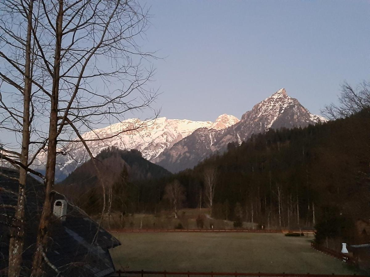 Haasenhaus Villa Hinterstoder Dış mekan fotoğraf