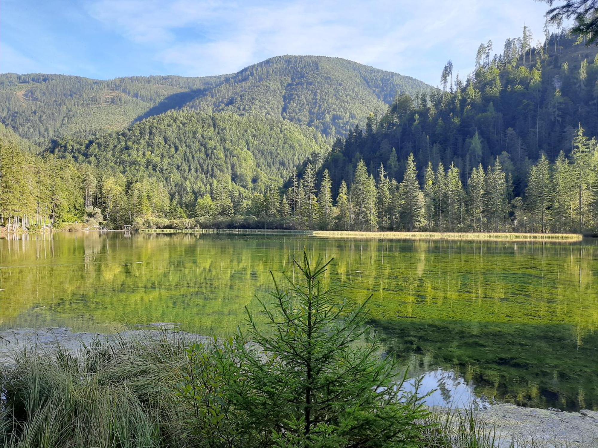 Haasenhaus Villa Hinterstoder Dış mekan fotoğraf