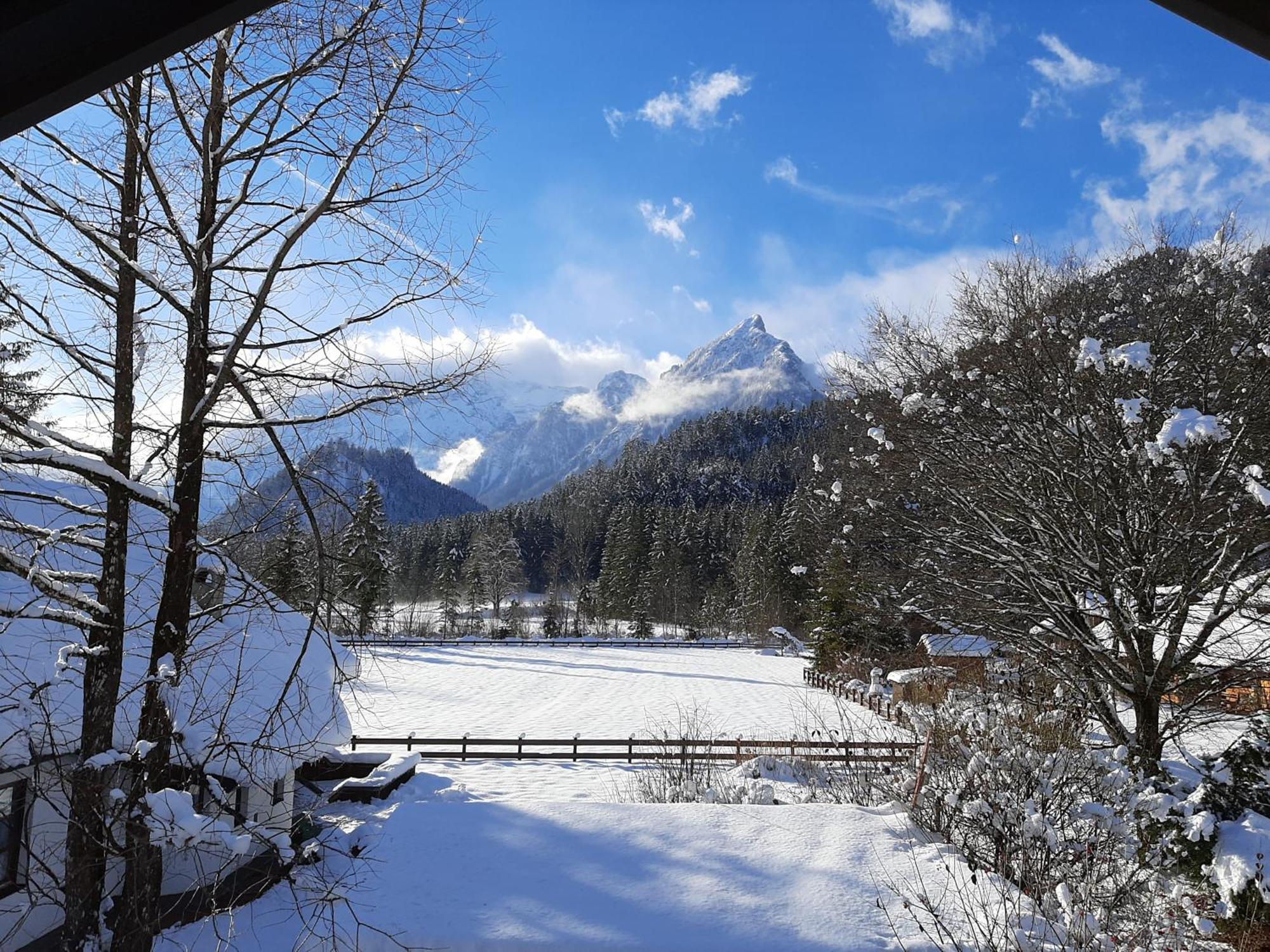 Haasenhaus Villa Hinterstoder Dış mekan fotoğraf